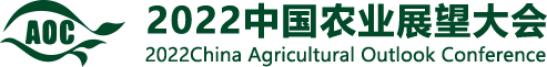 首页