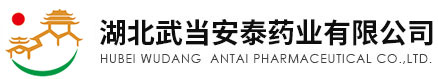 湖北武当安泰药业有限公司