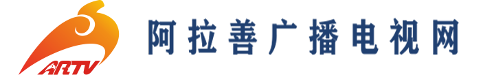 首页