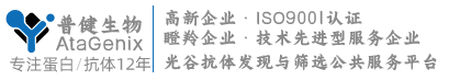 专注提供蛋白表达