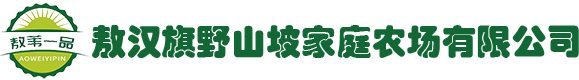 敖汉旗野山坡家庭农场有限公司