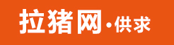 拉猪网