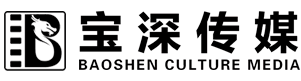 深圳宝深文化传媒有限公司