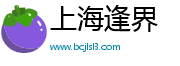 上海逢界电子科技有限公司