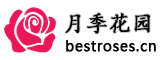 月季花园