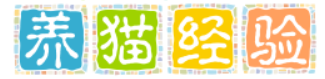 锦义诚养猫经验