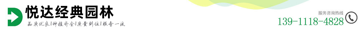 北京悦达经典园林工程有限责任公司
