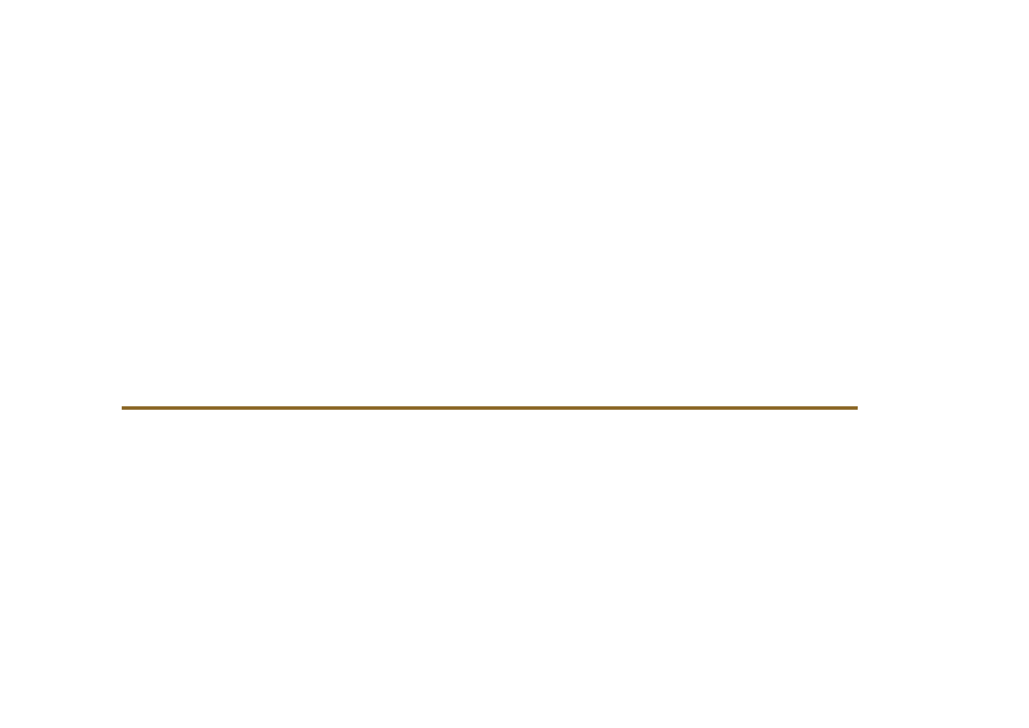 BMC美丽境界资本