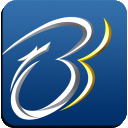 大连柏盛源科技有限公司