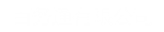 百务通有限公司