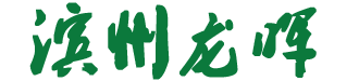 滨州龙晖化纤制品有限公司