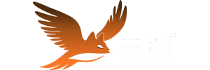 央狐网