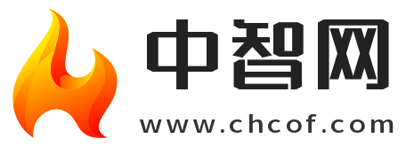 中智网