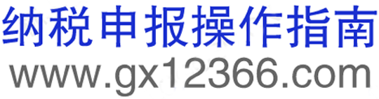 纳税申报操作指南