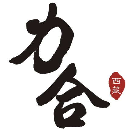 西藏力合信息科技有限公司