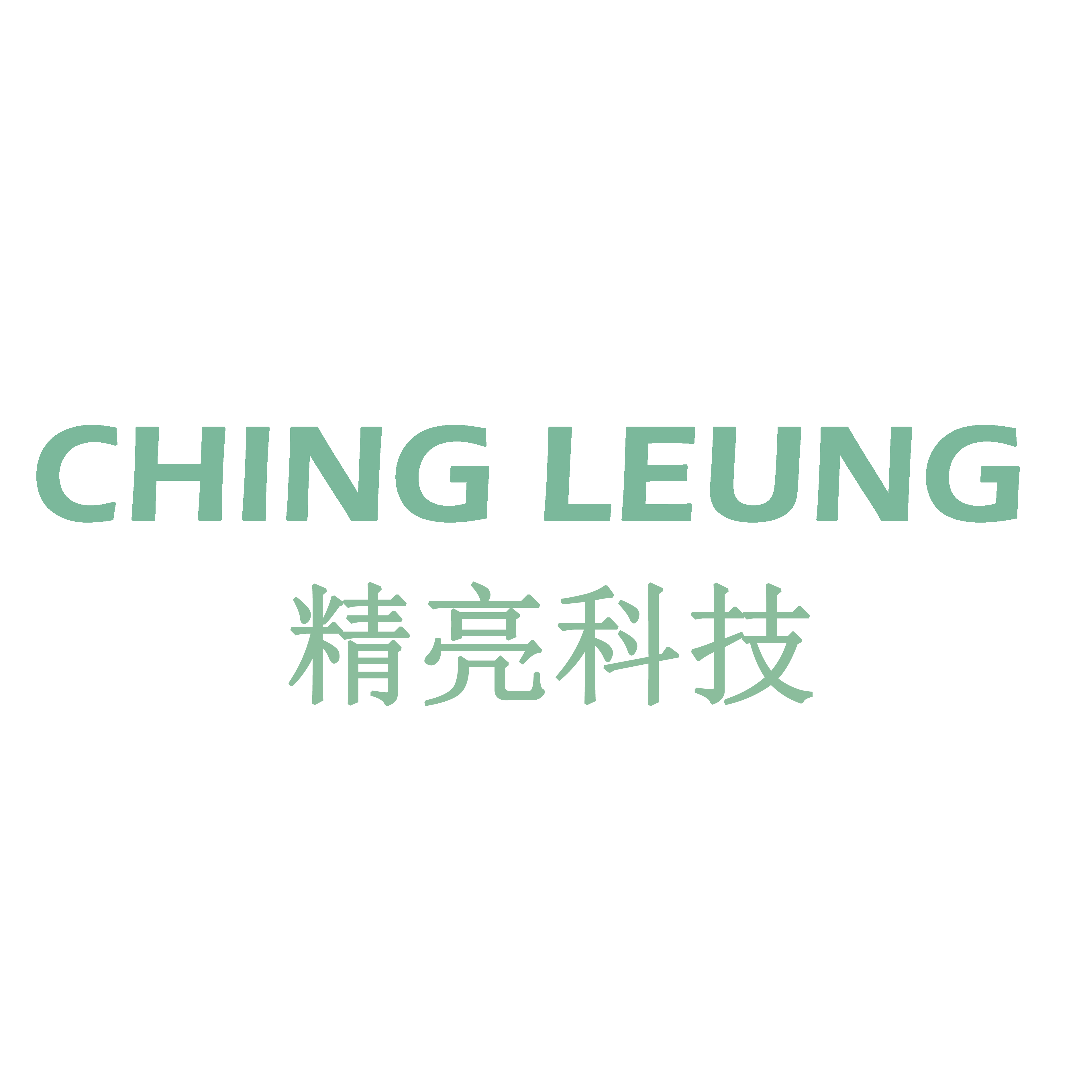 浙江精亮新材料科技有限公司