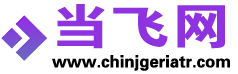 当飞网