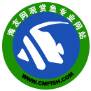 海友网CMF