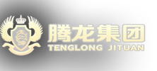 腾龙公司(中国)网站1998838