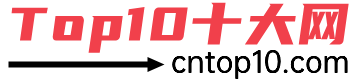 Top10十大网