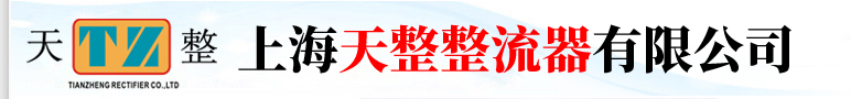 上海天整整流器有限公司