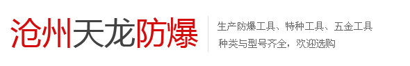 沧州天龙防爆工具