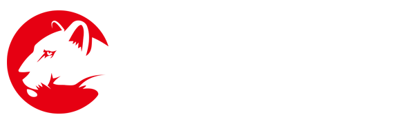 独立站搭建「专注推广8年」找客户从推广开始