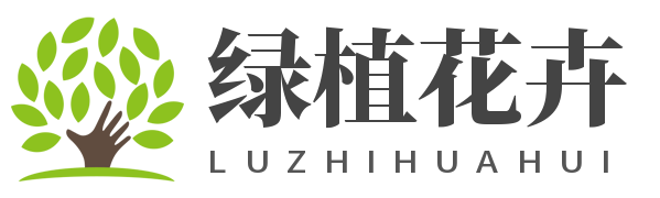 常见绿植花卉如何种植,植物百科,花卉寓意
