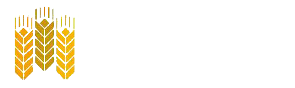 大荔优质冬枣供应商