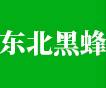 东北黑蜂蜜