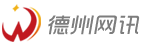 德州网络公司