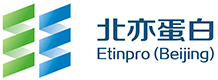 北京亦庄国际蛋白药物技术有限公司