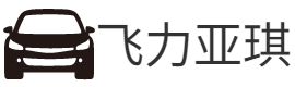 飞力亚琪