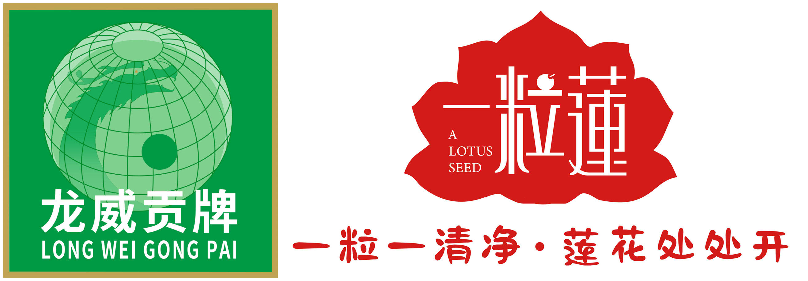 龙威贡牌一粒莲有机本草莲果耳手工通芯莲子建宁特产出口品质20年