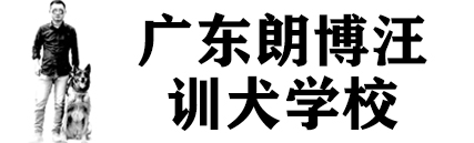 佛山训犬基地
