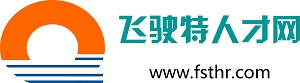 飞驶特人才网