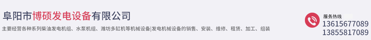 阜阳市博硕发电设备有限公司