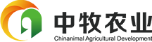 首页