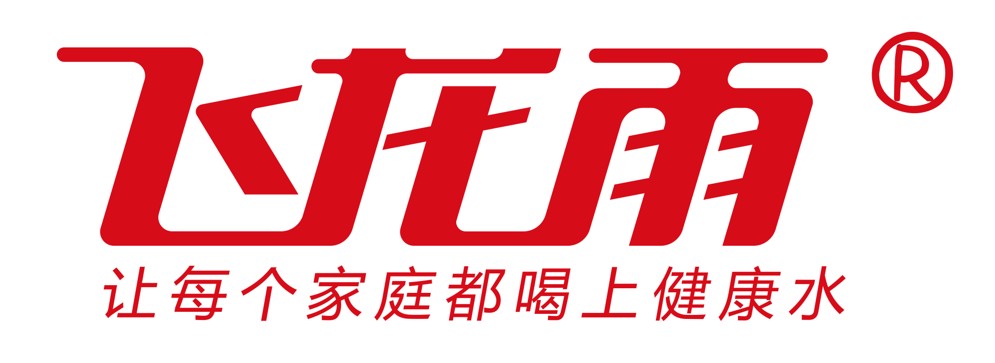 贵州飞龙雨实业集团有限公司