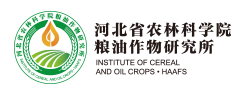 河北省农林科学院粮油作物研究所