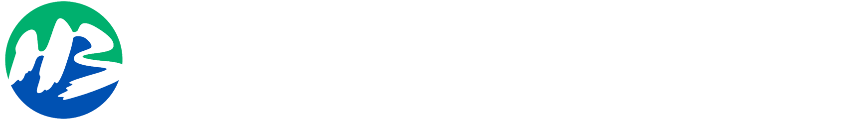 湖北水利发展集团有限公司