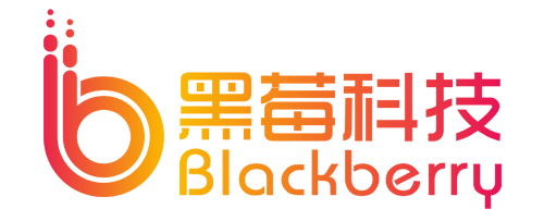 云南黑莓科技有限公司
