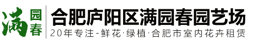 合肥花卉租赁