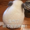 青阳Blog