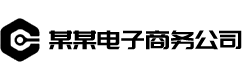 某某电子商务公司