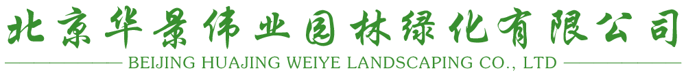 北京绿植租赁