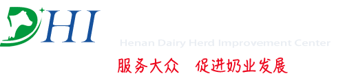 首页