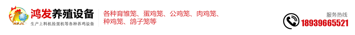 首页