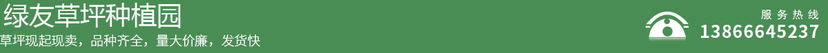 绿友草坪种植园
