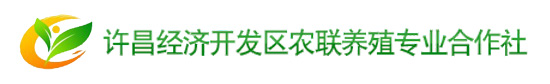 火鸡苗养殖基地